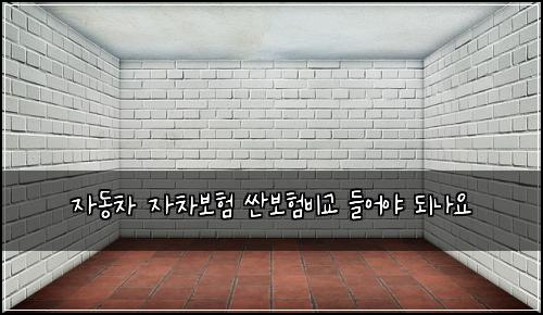 자동차 자차보험 싼보험비교  들어야 되나요