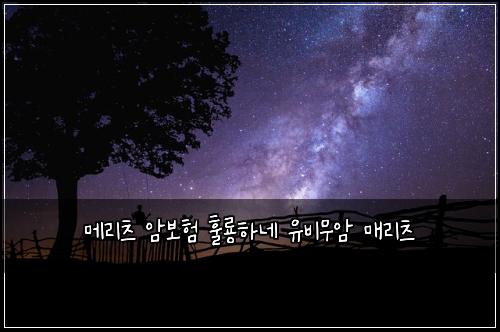 메리츠 암보험 훌룡하네  유비무암 매리츠