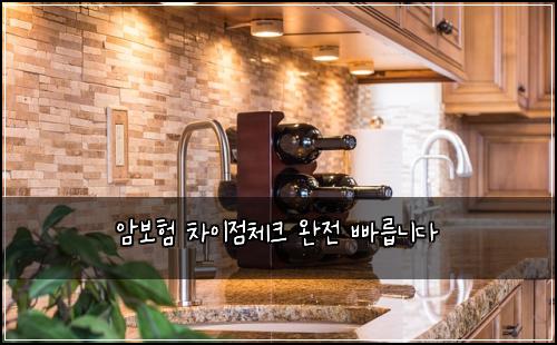 암보험 차이점체크  완전 빠릅니다