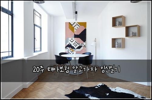 20주 태아보험 알고가자  임신일기