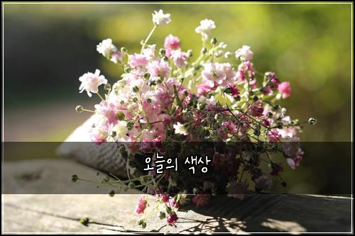 오늘의 색상