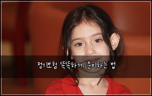 정기보험 똑똑하게 준비하는 법