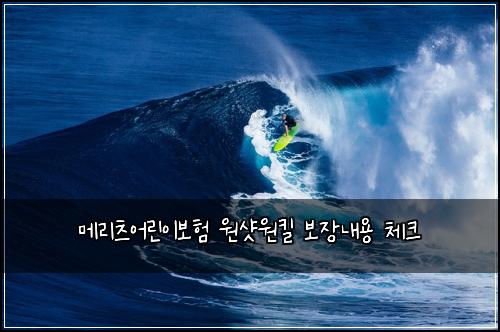 ๋ฉ๋ฆฌ์ธ ์ด๋ฆฐ์ด๋ณดํ ์์ท์ํฌ ๋ณด์ฅ๋ด์ฉ ์ฒดํฌ