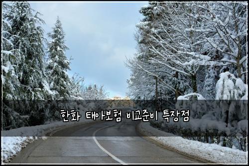 ํํ ํ์๋ณดํ ๋น๊ต์ค๋น ํน์ฅ์ 