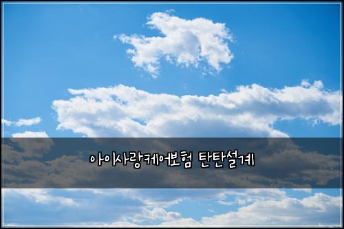 아이사랑케어보험 탄탄설계 
