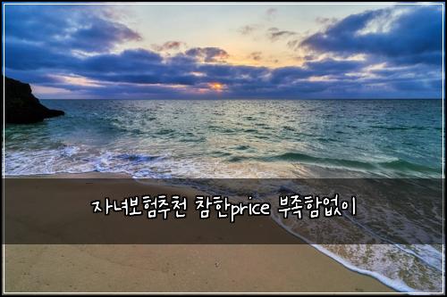 자녀보험추천 참한price 부족함없이