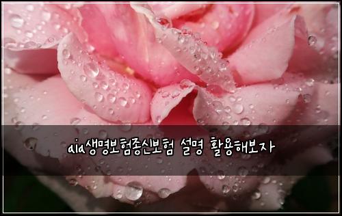 aia์๋ช
๋ณดํ์ข
์ ๋ณดํ ์ค๋ช
ํ์ฉํด๋ณด์