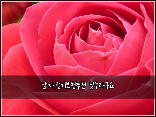 남자정기보험추천 필수라구요