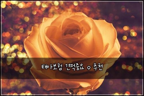 ํ์๋ณดํ ๊ฒฌ์ ์ค์ o ์ถ์ฒ
