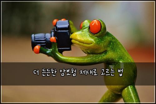 더 든든한 암보험 제대로 고르는 법