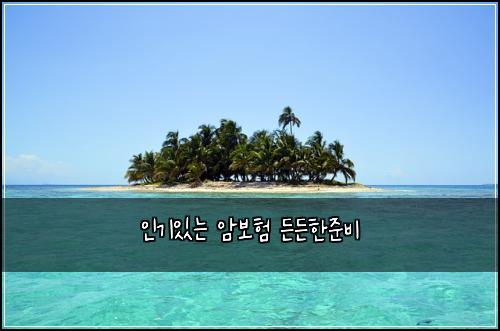 인기있는 암보험 든든한준비 