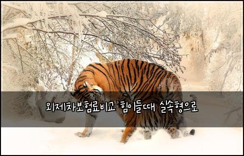 ์ธ์ ์ฐจ๋ณดํ๋ฃ๋น๊ต ํ์ด๋ค๋ ์ค์ํ์ผ๋ก