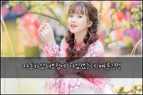 자동차상해보험에 가입했는데 빠른견적