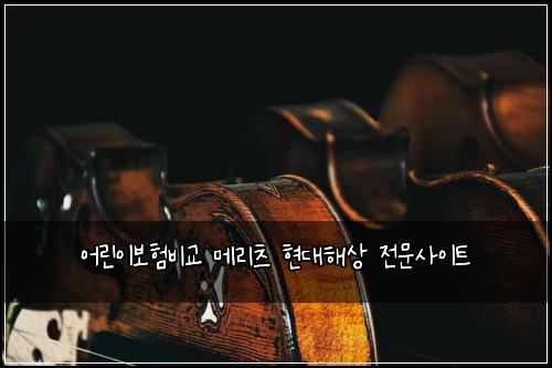 어린이보험비교 메리츠 현대해상 전문사이트