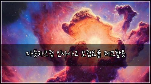 ์๋์ฐจ๋ณดํ ์ธ์ฌ์ฌ๊ณ ๋ณดํ์์จ ์ฒดํฌํ์ฉ