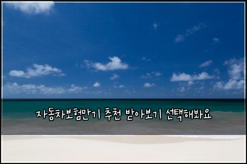 ์๋์ฐจ๋ณดํ๋ง๊ธฐ ์ถ์ฒ ๋ฐ์๋ณด๊ธฐ ์ ํํด๋ด์