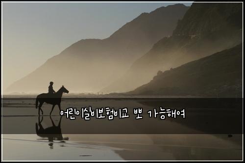 어린이실비보험비교 뽀 가능해여