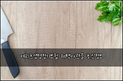 메리츠생명정기보험 혜택마련을  최신정보