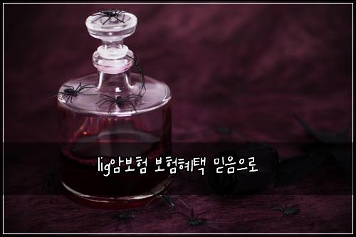 lig암보험 보험혜택  믿음으로