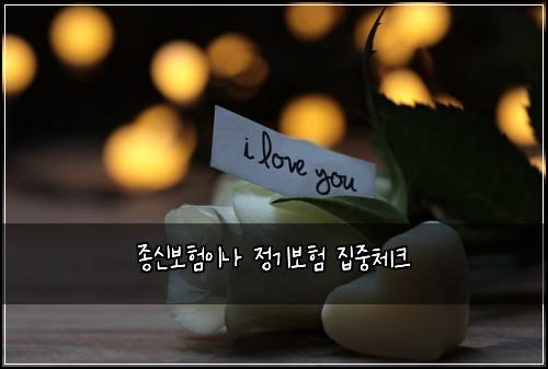 종신보험이나 정기보험 집중체크