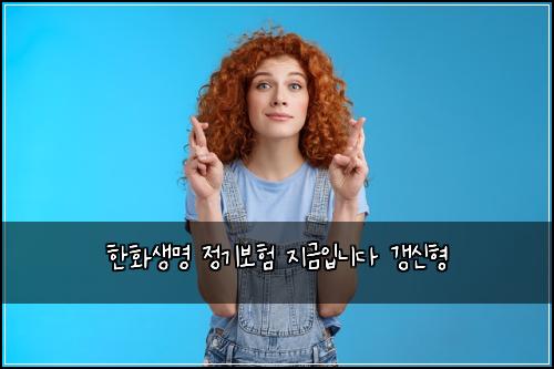 한화생명 정기보험 지금입니다  갱신형