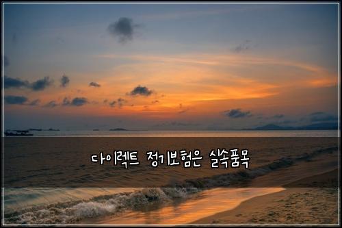 ๋ค์ด๋ ํธ ์ ๊ธฐ๋ณดํ์ ์ค์ํ๋ชฉ