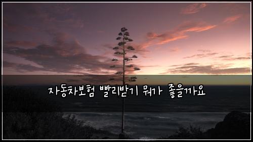 ์๋์ฐจ๋ณดํ ๋นจ๋ฆฌ๋ฐ๊ธฐ ๋ญ๊ฐ ์ข์๊น์