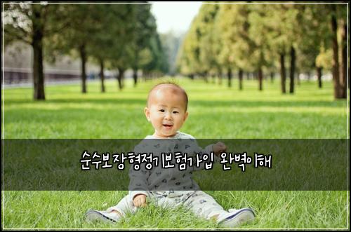 ์์๋ณด์ฅํ์ ๊ธฐ๋ณดํ๊ฐ์
์๋ฒฝ์ดํด