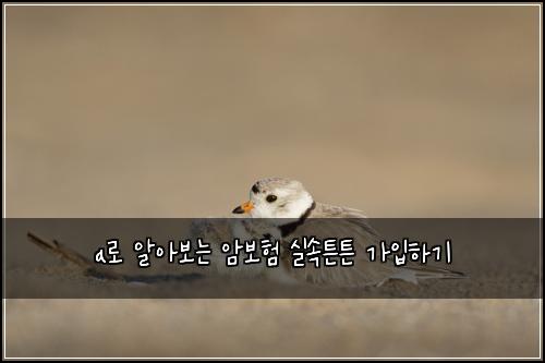 a로 알아보는 암보험 실속튼튼  가입하기