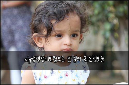 aig생명정기보험으로 만일의 최신정보들