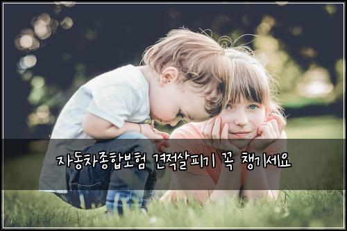 자동차종합보험 견적살피기  꼭 챙기세요