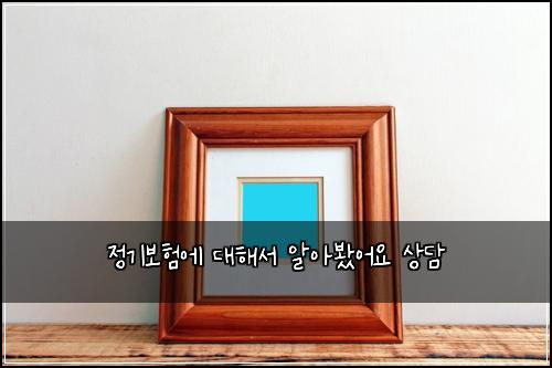 정기보험에 대해서 알아봤어요 상담