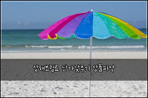 상해보험료 단가낮추기 상품파악