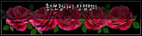 종신보험사이 장점정리