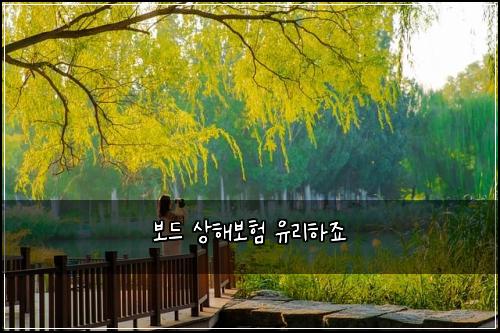 보드 상해보험 유리하죠 