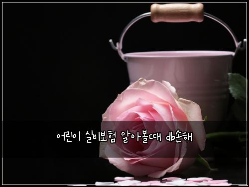 ์ด๋ฆฐ์ด ์ค๋น๋ณดํ ์์๋ณผ๋ db์ํด