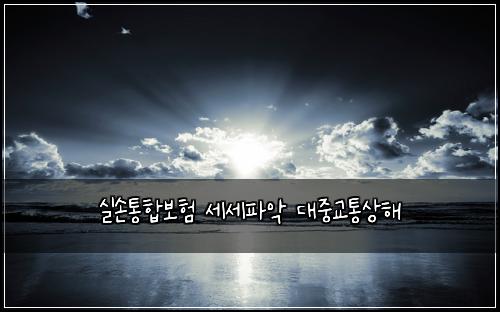 실손통합보험 세세파악  대중교통상해