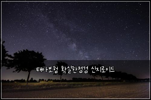 태아보험 확실한점검  신지로이드