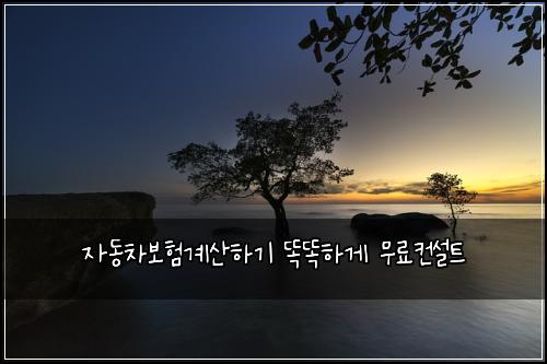 μλ차보νκ³μ°νκΈ° λλνκ² λ¬΄λ£μ»¨μ€νΈ
