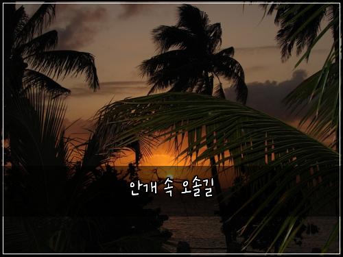 ์๊ฐ ์ ์ค์๊ธธ