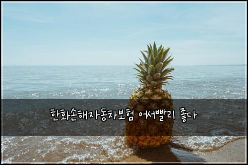 한화손해자동차보험 어서빨리  좋다