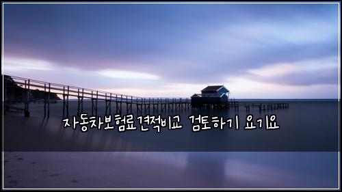 자동차보험료견적비교 검토하기 요기요
