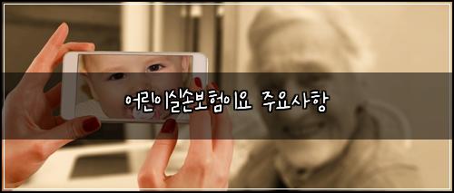 어린이실손보험이요 주요사항