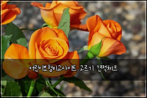 ์ด๋ฆฐ์ด๋ณดํ๋น๊ต์ฌ์ดํธ ๊ณ ๋ฅด๊ธฐ ๊ฒฌ์ ์ฒดํฌ