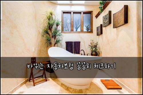 바뀌는 자동차보험 꼼꼼히 체크하기