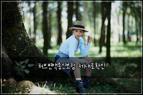 처브변액종신보험 제대로확인 