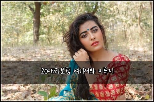 20๋์ฐจ๋ณดํ ์ฌ๊ธฐ์๋ด ๋ฏธ๋ฃจ์ง