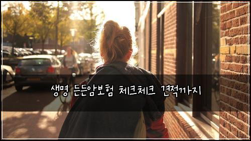 ์๋ช
๋ ๋ ์๋ณดํ ์ฒดํฌ์ฒดํฌ ๊ฒฌ์ ๊น์ง