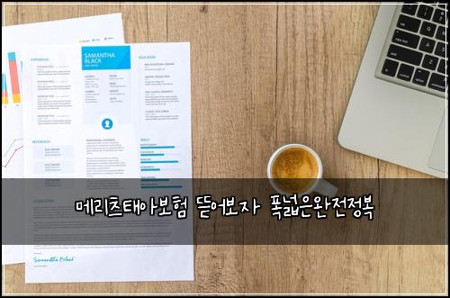 λ©λ¦¬μΈ νμ보ν λ―μ΄λ³΄μ νλμμμ μ 볡