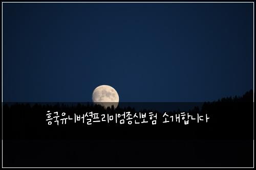 흥국유니버셜프리미엄종신보험 소개합니다 